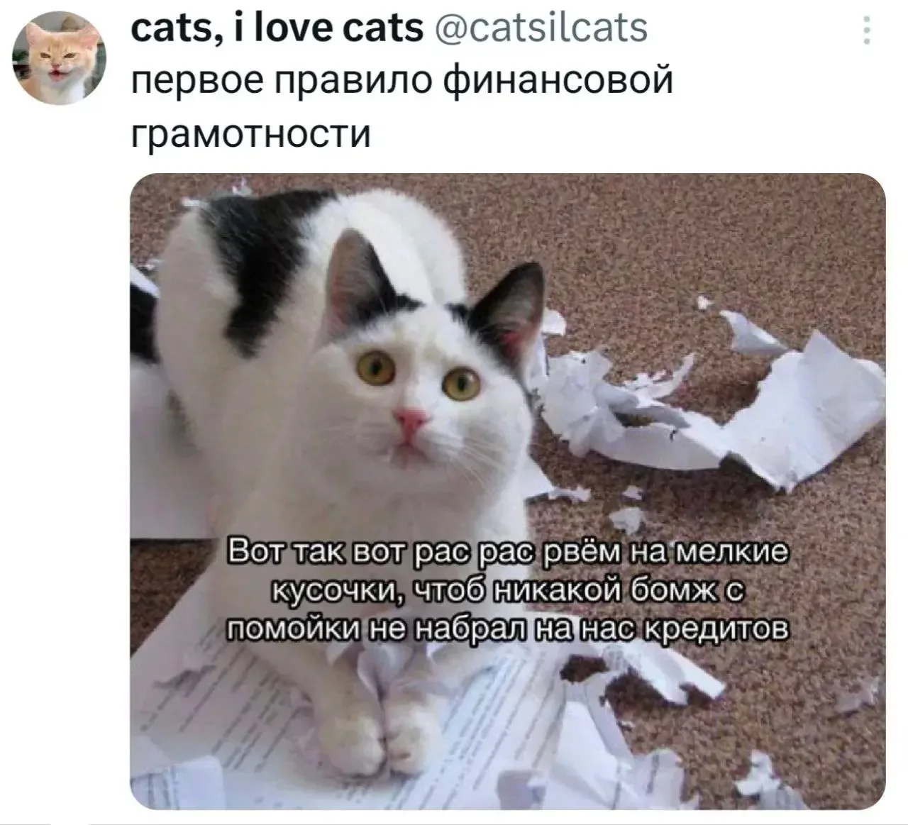 Дайте рыбов!