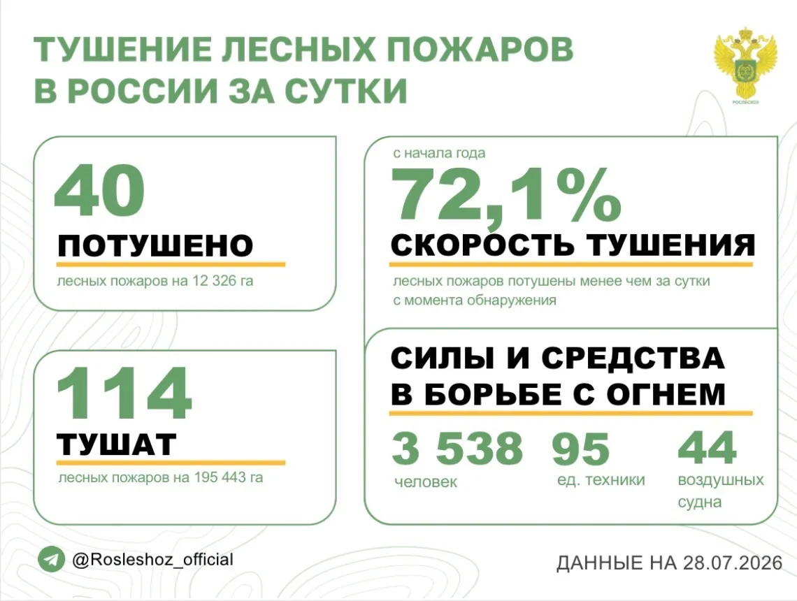 🟢 За прошедшие сутки в 12 регионах России потушили 40 лесных пожаров. 
Продолжается тушение 114 лес