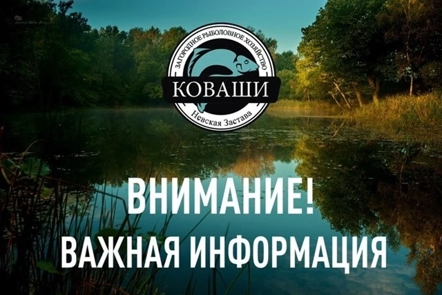 Уважаемые подписчики и гости водоема!