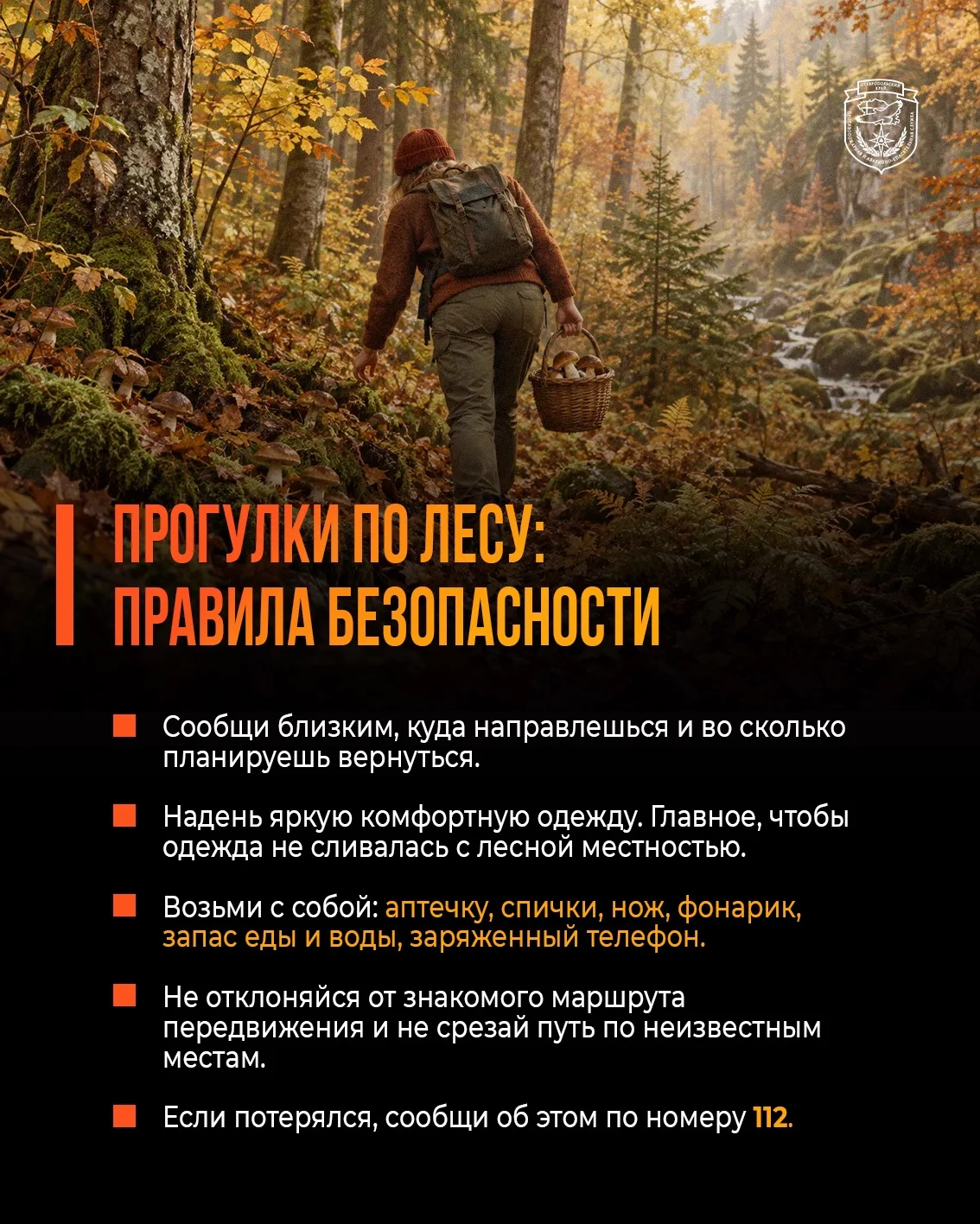 Идем по грибы 🍄