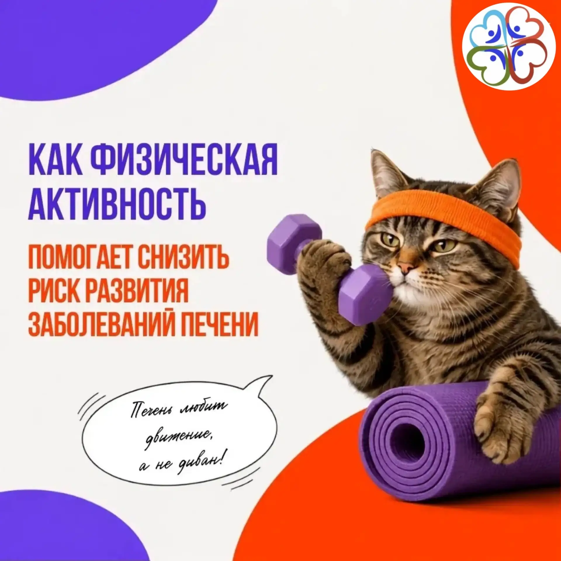 Физическая активность играет важную роль в поддержании здоровья печени и снижении риска...