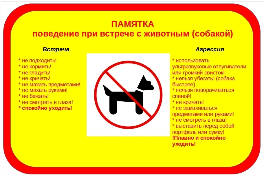 Друзья! 🐾