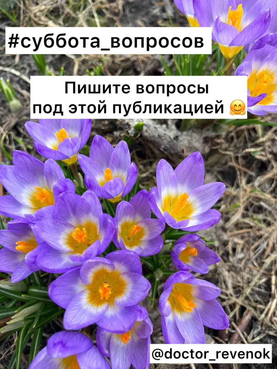 Сегодня есть время поотвечать на вопросы - пишите по ссылке в наш чат 🤗
