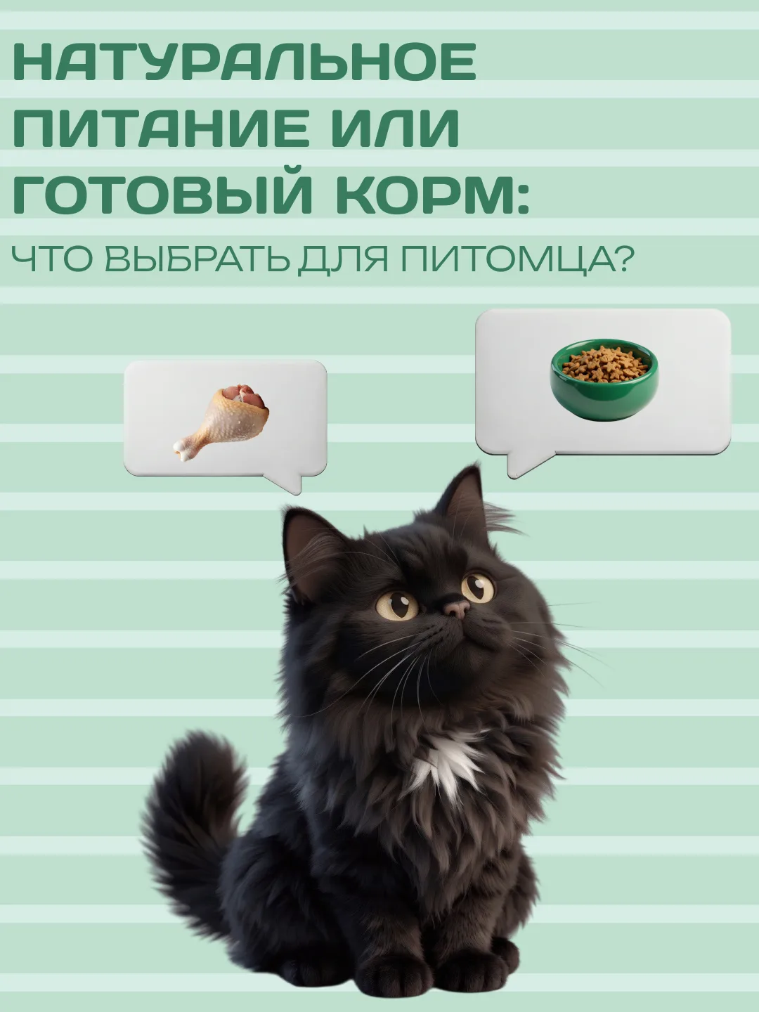 Натуральное питание или готовый корм — что лучше для питомца?