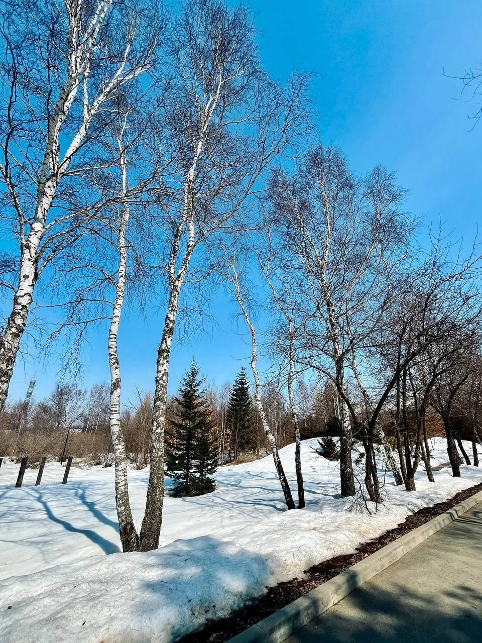 В Ботаническом саду Автор: 📸 mukhavokne