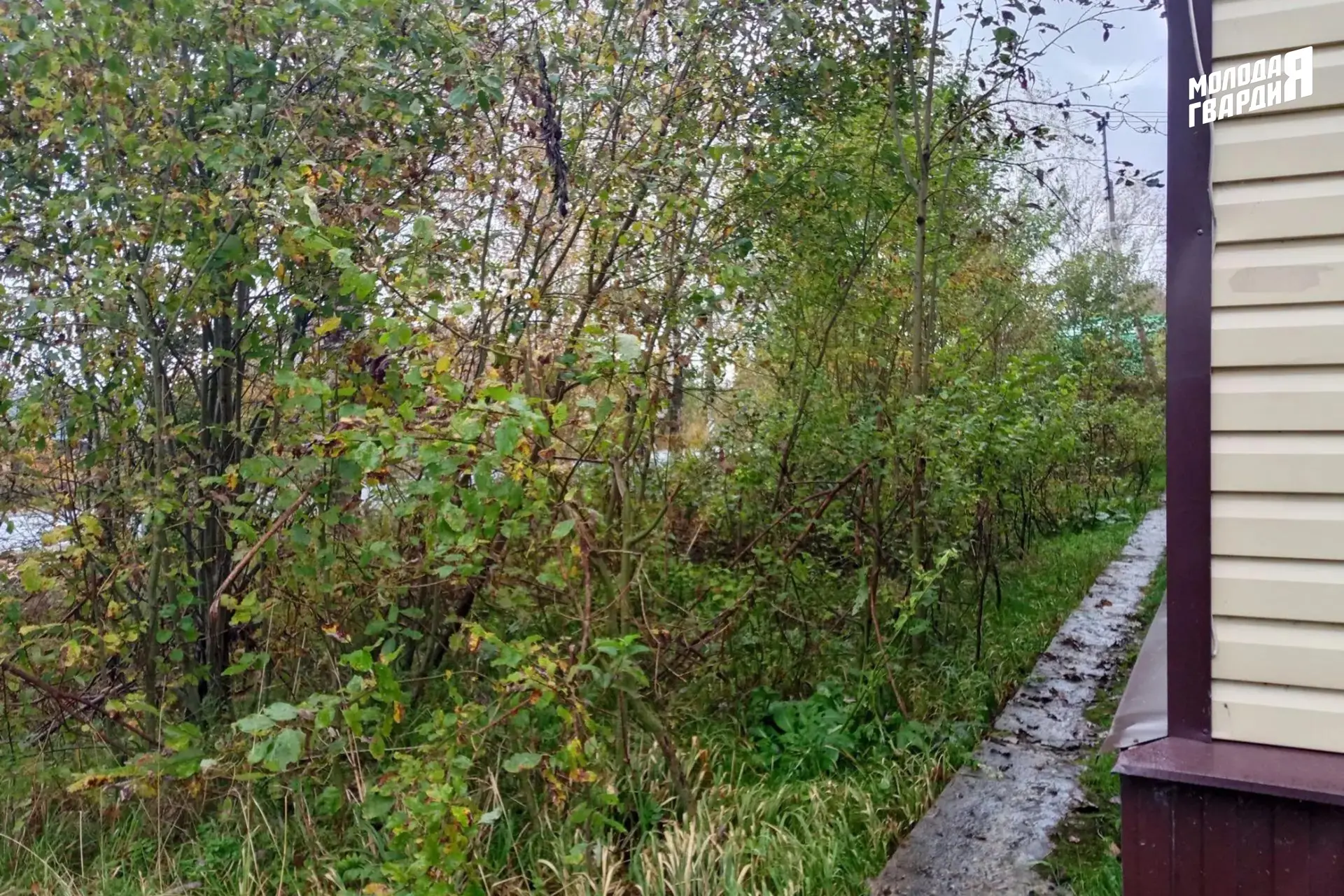 🌿Продолжаем благоустройство территорий