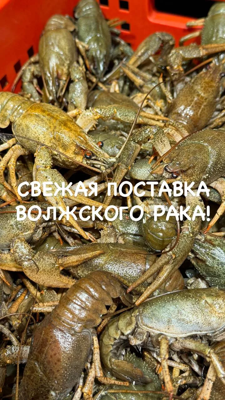 🕺🏻💃СУББОТА — ВРЕМЯ РАКОВ, РЫБКИ, КРЕВЕТОК И ХОРОШЕГО НАСТРОЕНИЯ 🐟🍺