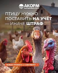 🦆 До 1 сентября 2026 года владельцы ЛПХ должны провести учет сельхозптицы