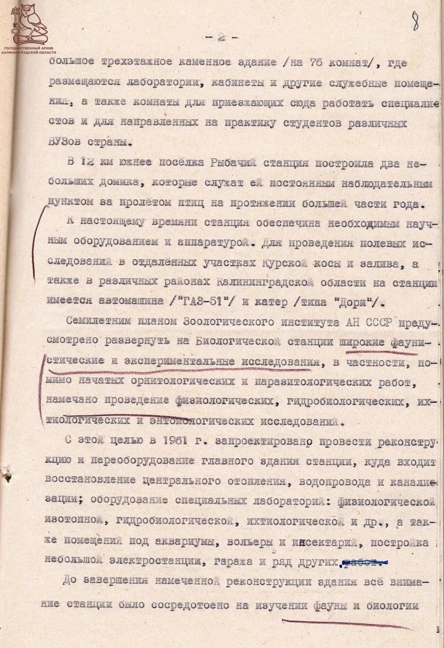 Изображение 2 к публикации «Эй, Калининград»