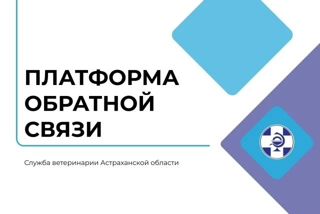 У астраханцев есть возможность задать вопрос и высказать своё мнение через Платформу обратной связи 
