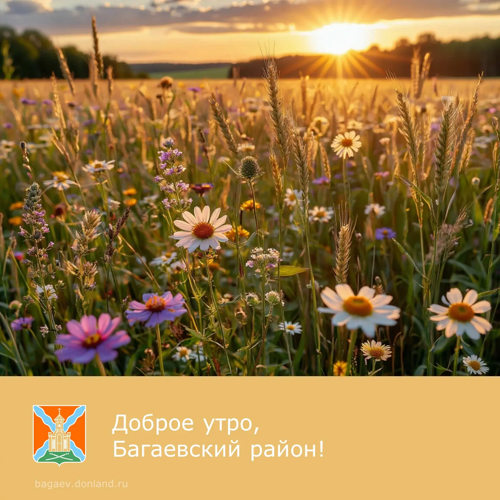 ☀️ Доброе утро, уважаемые жители Багаевского района!
