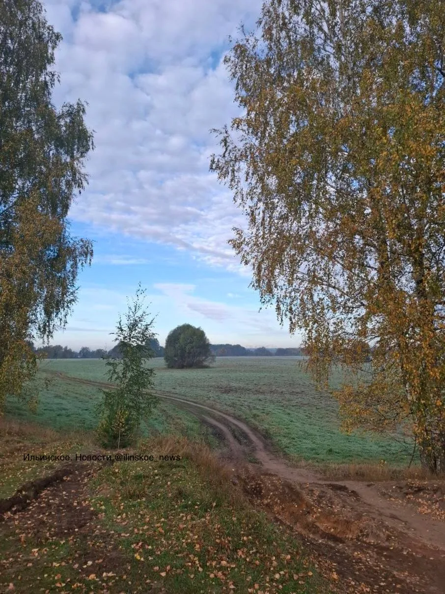 🌾 Осенние пейзажи в окрестностях острова