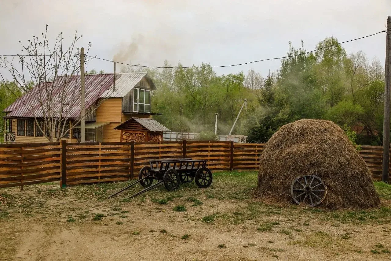 Место, где время будто останавливается  📍 Такая красота сейчас на базе отдыха у Кучеровых в селе Кра