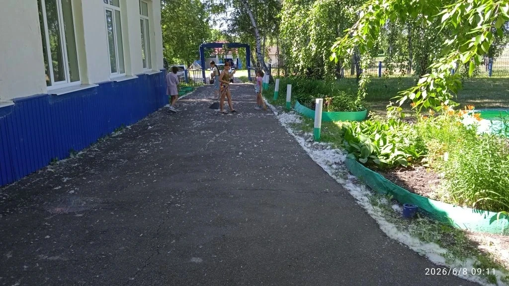 Еще один день в лагере был наполнен смыслом и теплом! Утро началось с важного разговора о добровольц