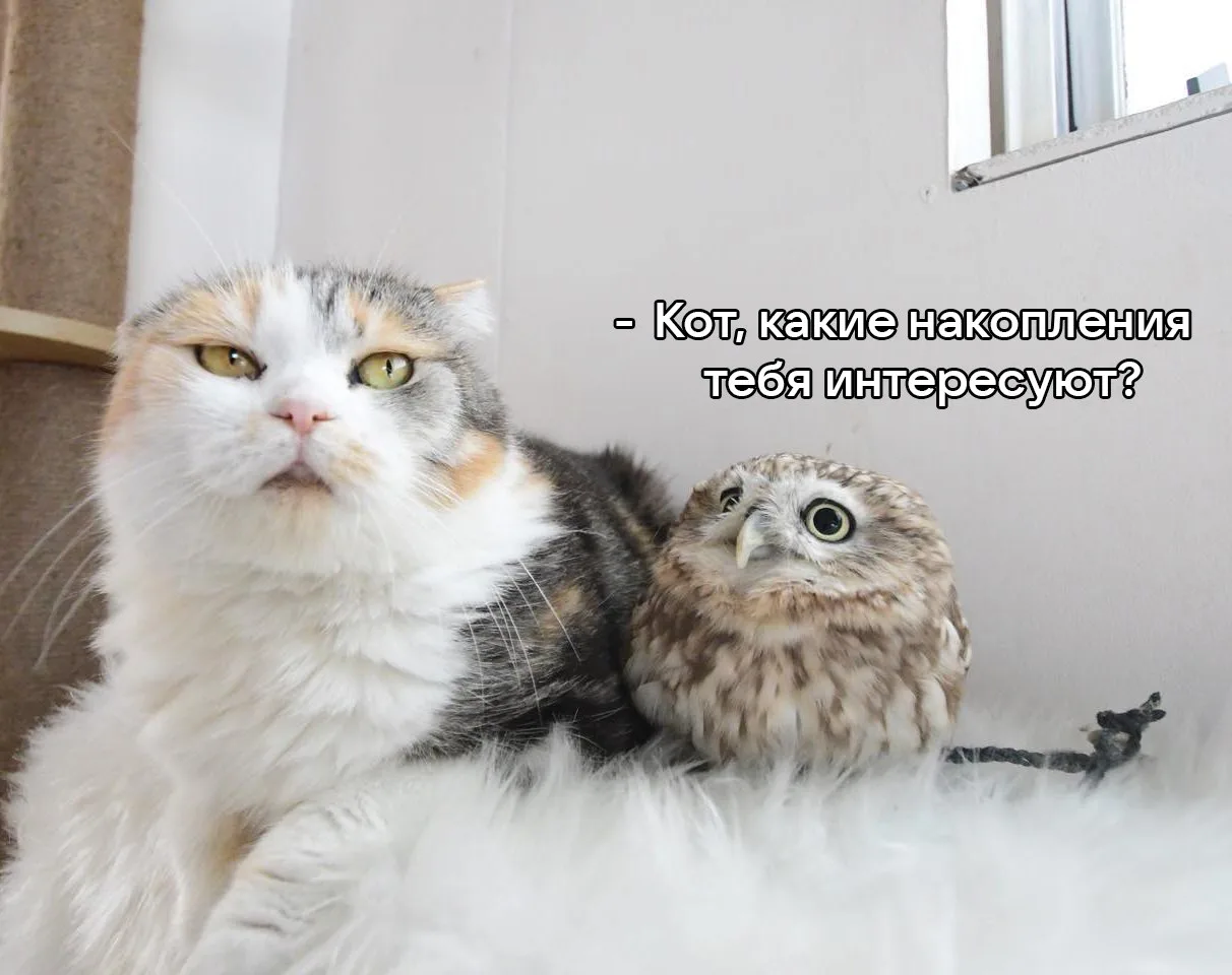 А какие ещё?