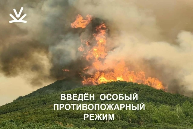 Вниманию посетителей природного парка «Быстринский»: на территории действует особый противопожарный 