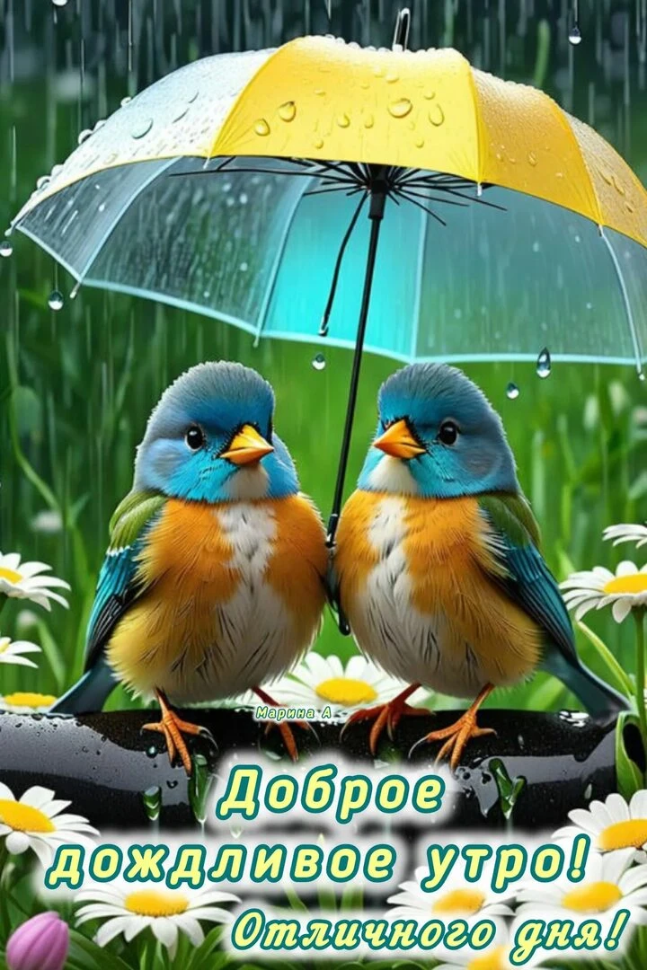 Доброе утро, дорогие жители! ☁️☔
