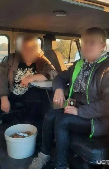 🍄 Две грибницы заблудились в лесу под Орлом
