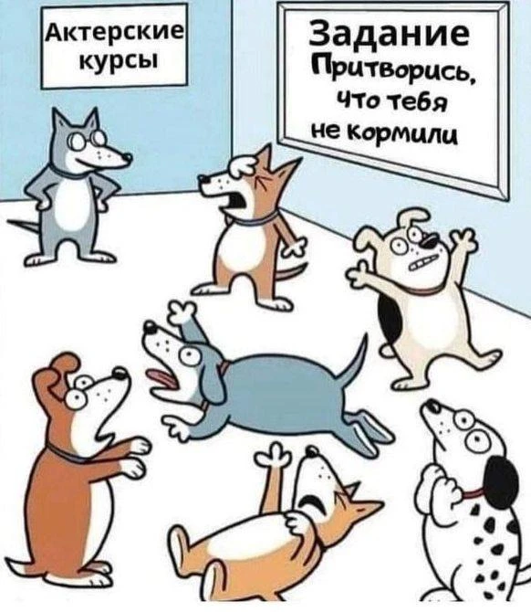 Параллельная Вселенная