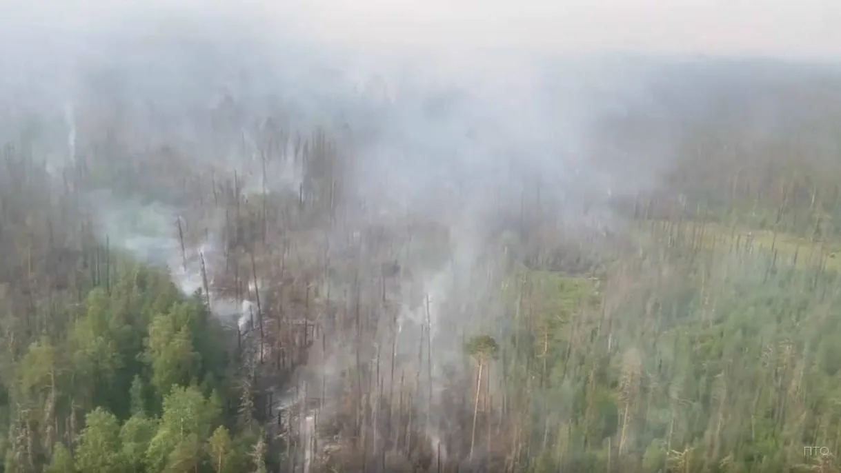 🔥 В Томской области снова горят леса
