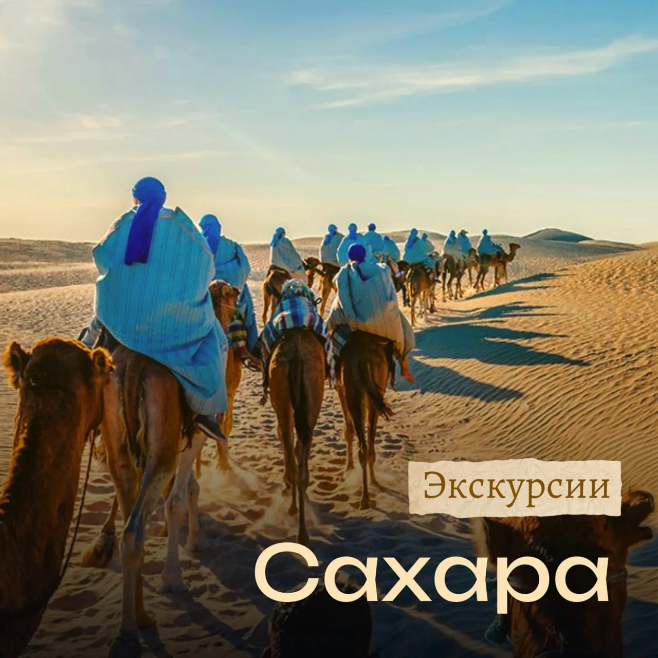 🌵 Сахара - это не просто пустыня, это самая большая пустыня в мире по площади примерно...