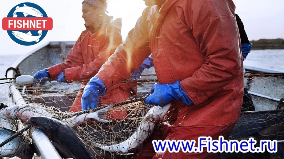 🐟 Флот группы Морской Волк пополнил ТР "Бухта Нагаева" вместимостью 5000 тонн