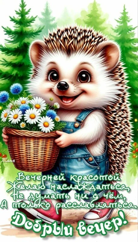 Ежедневные поздравления 🎁😊

Поздравления и Открытки | Мы в Telegram