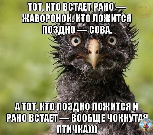 Картинки для настроения😊 | Юмор