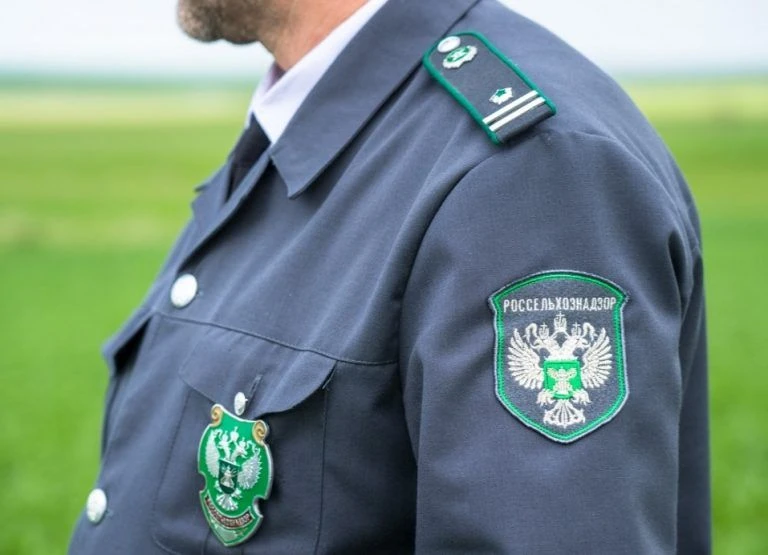 В Ингушетии Россельхознадзор пресёк незаконный ввоз более 100 голов сельскохозяйственных животных

В