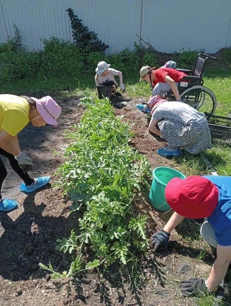 Наши урожайные успехи! 🌱🥒✨

Сезон сбора урожая в самом разгаре, и нам не терпится поделиться с вам