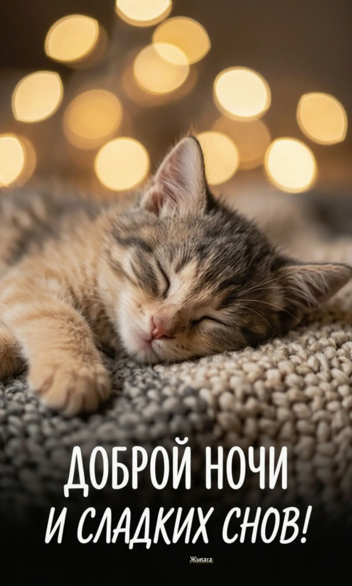 Спокойной ночи❤