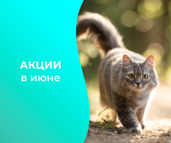 Встречайте лето выгодно: акции июня от «ВЕДА»! 🛒

Стартовал дачный сезон, а вместе с ним - и наши л