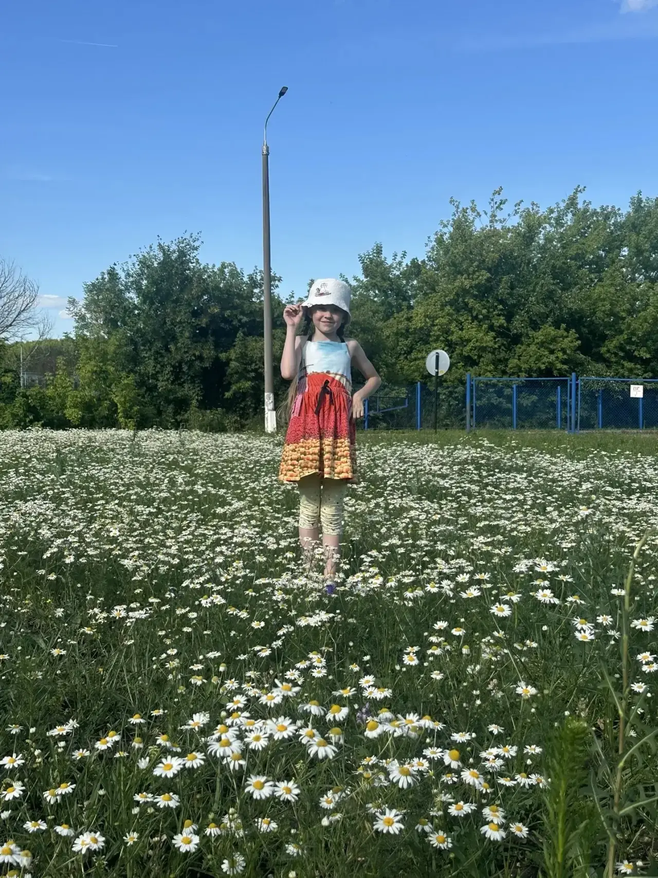 💛 Ромашковое настроение от Мирославы Карташовой. 

📸 Ученица нашей школы, Мирослава Карташова, дел
