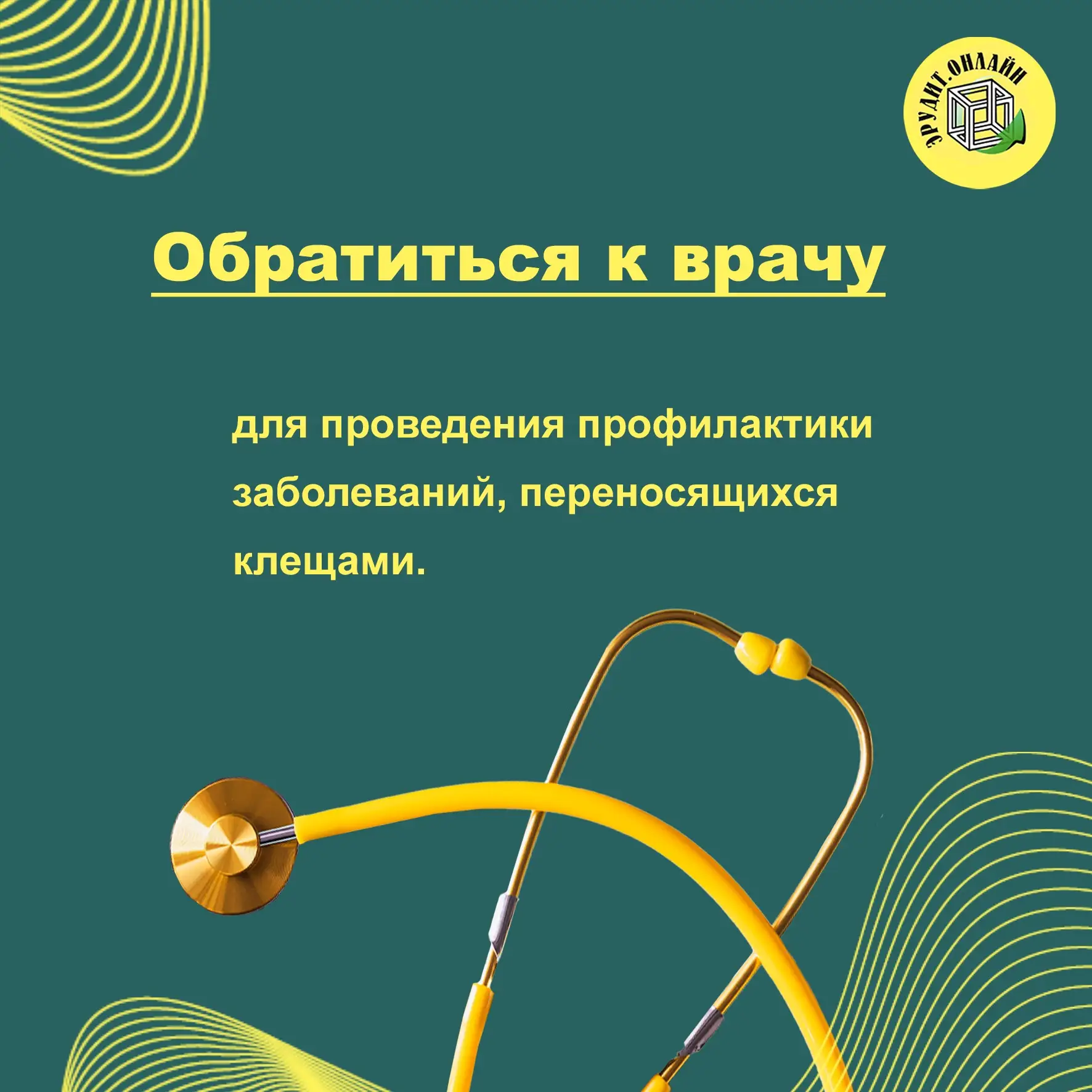Памятка «Что делать при укусе клеща?»