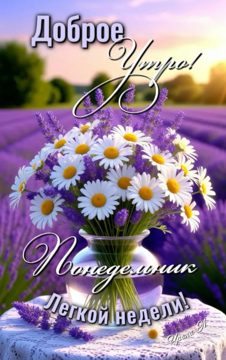 С понедельником🌹 Доброго утра!
