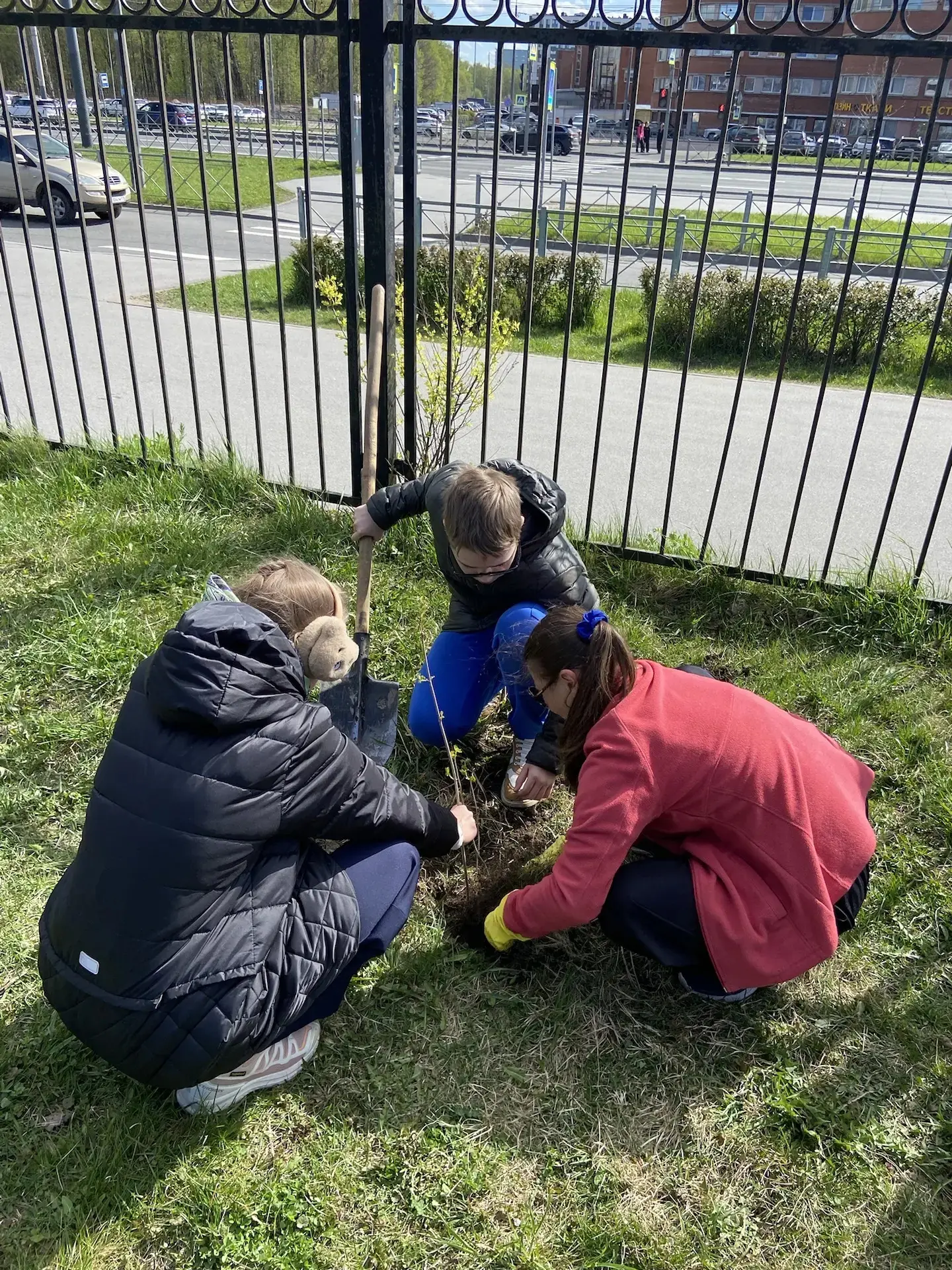 🌿 Посадить куст — значит подарить природе частичку заботы, а школе — красоту на годы вперёд 🌿  ✅️ Уч