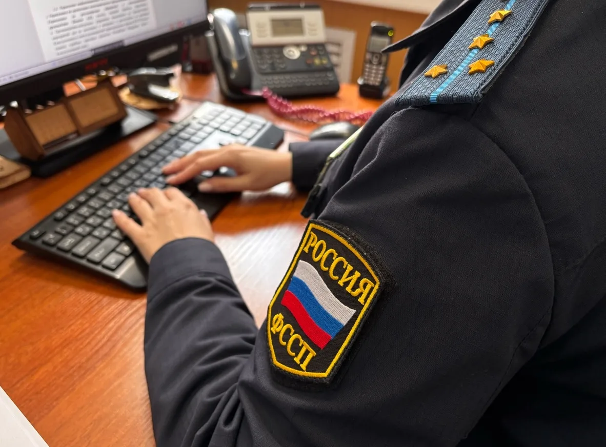 Благодаря приставам должница погасила крупный долг по налогам  29-летняя жительница Базарно-Карабула