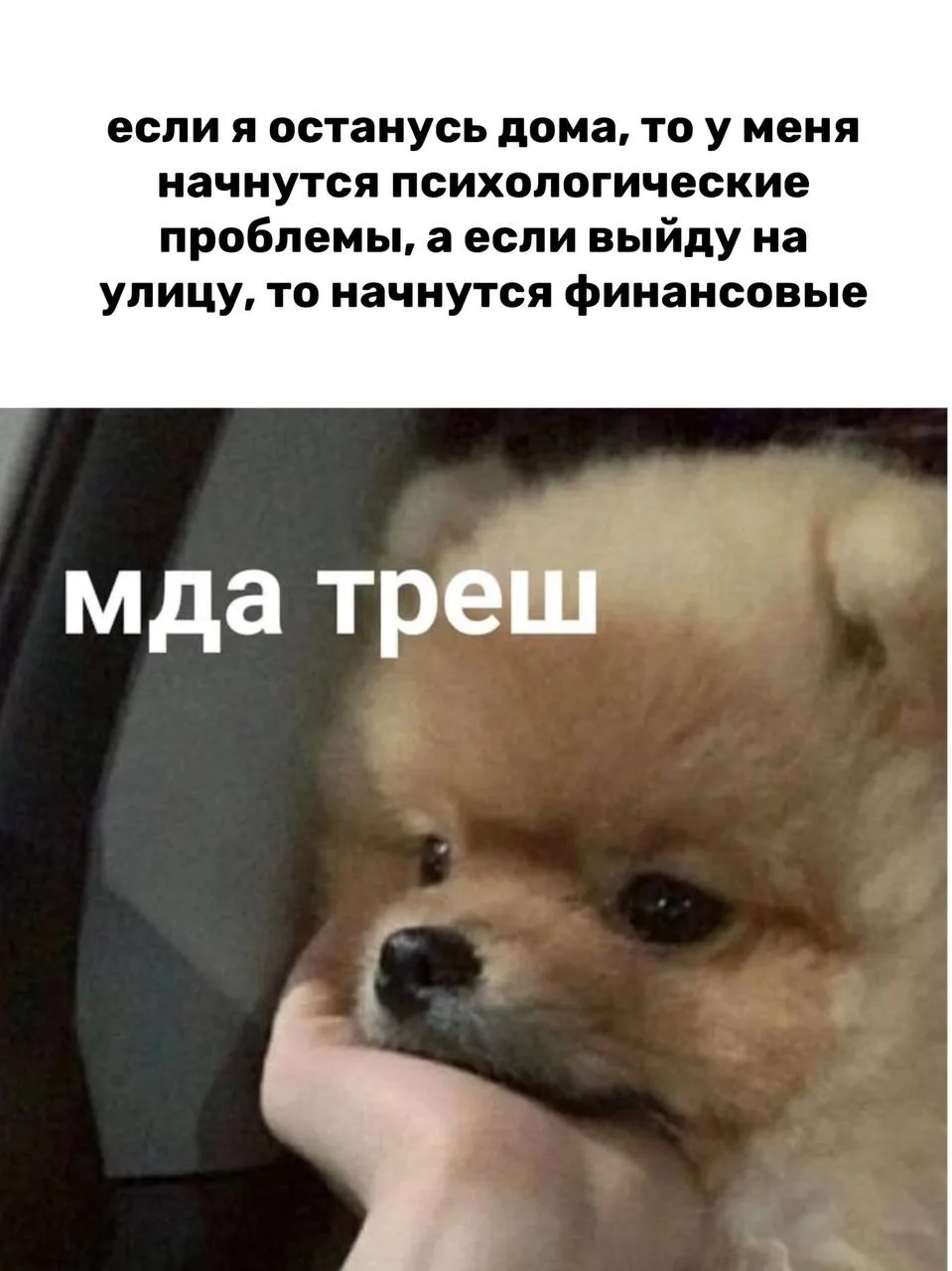 Так и живем 😭