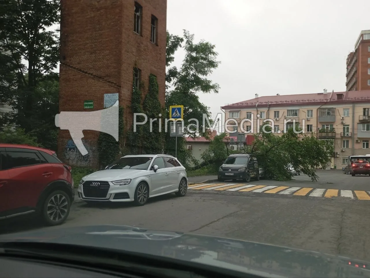 Дерево упало на машины на Сипягина в районе остановки Торговый порт во Владивостоке

@primamedia