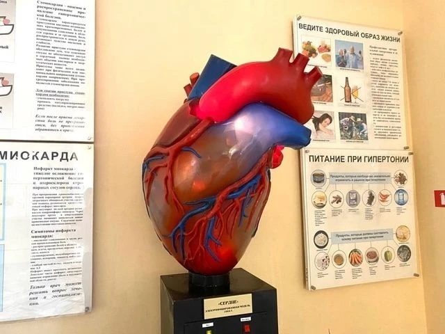 Музей гигиены приглашает в увлекательное путешествие в мир здоровья