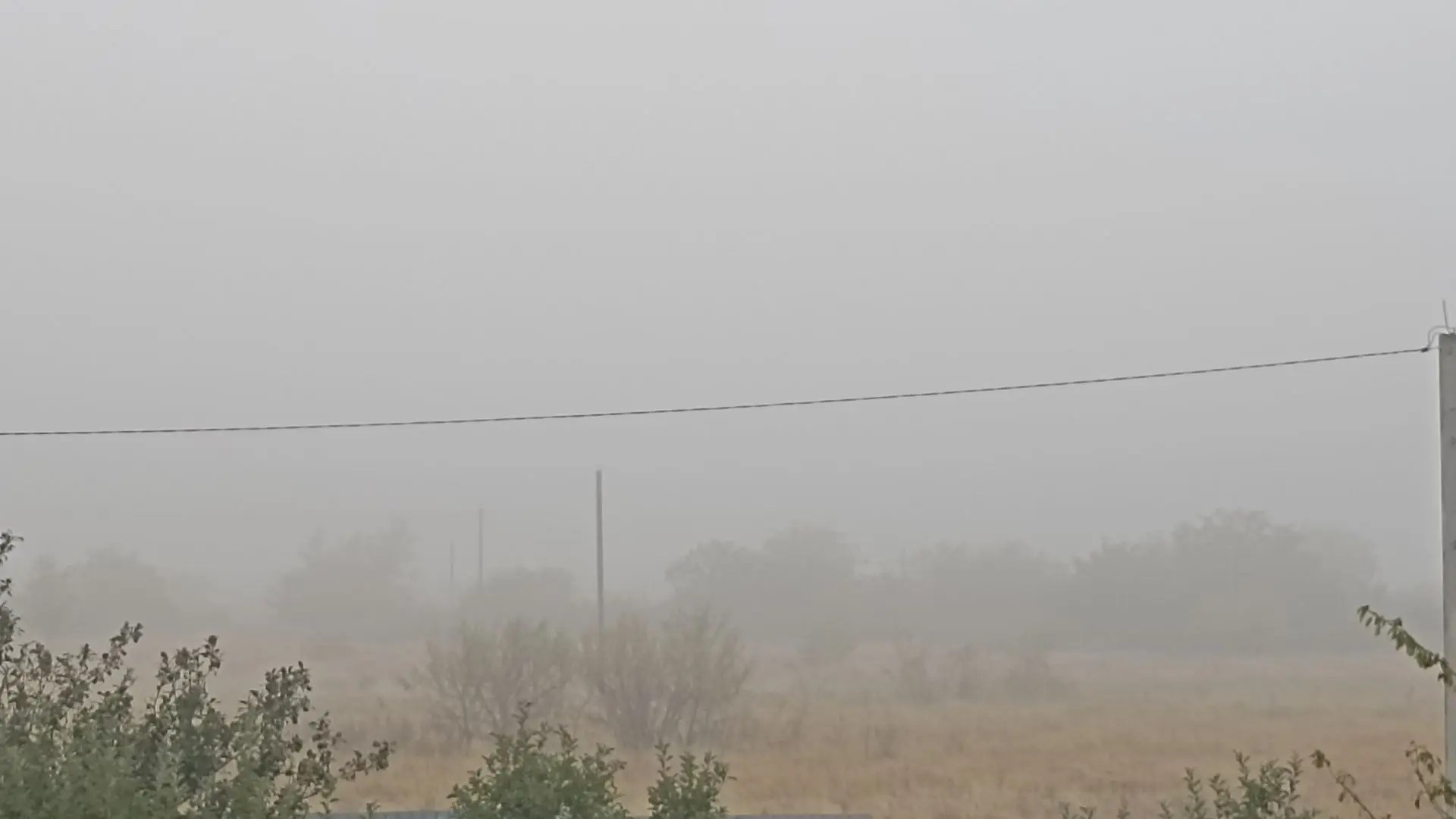 Доброе туманное утро❤❤❤