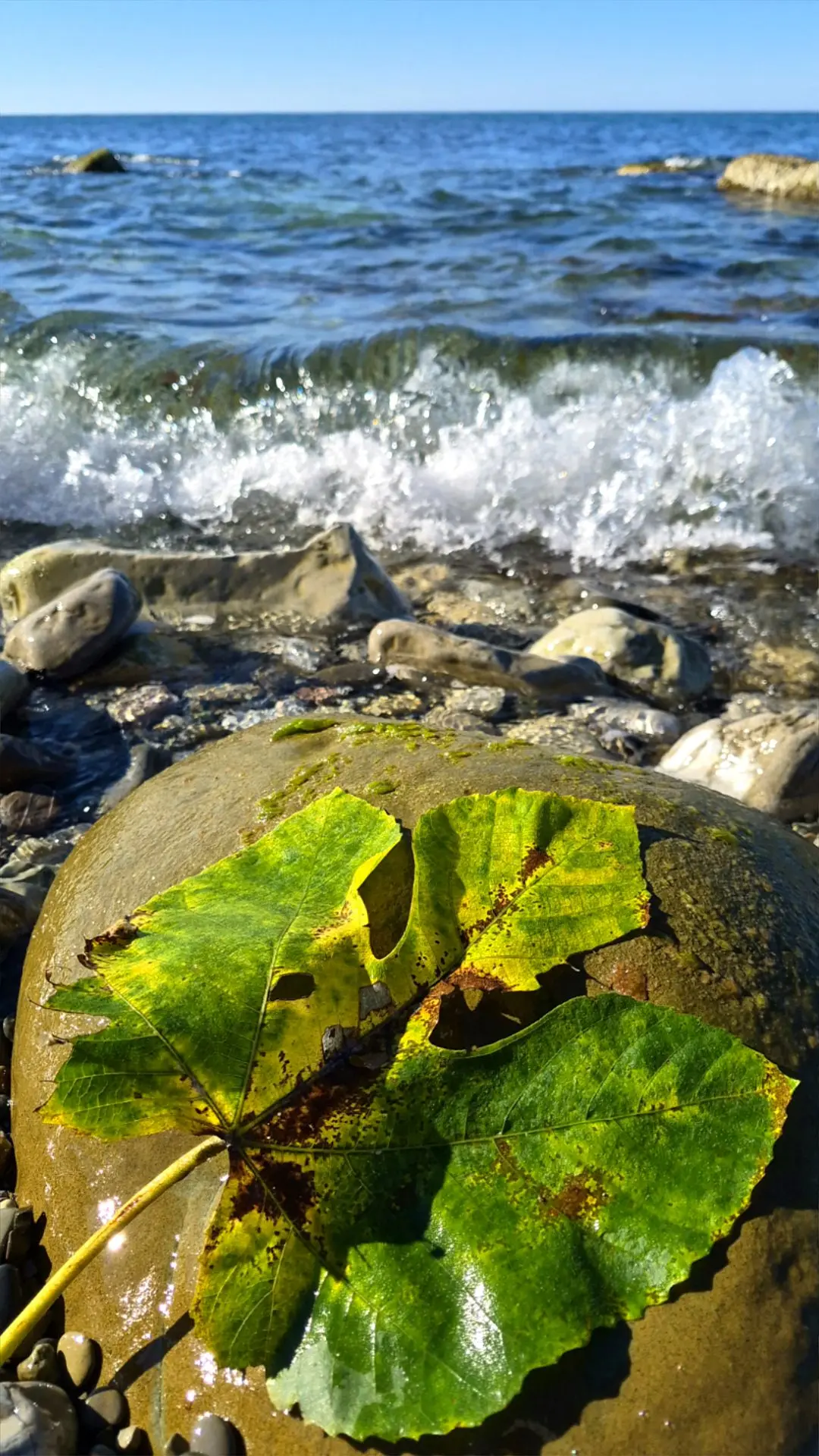 Доброе утро субботы🌞, 3 октября🍁🍂🧡)..