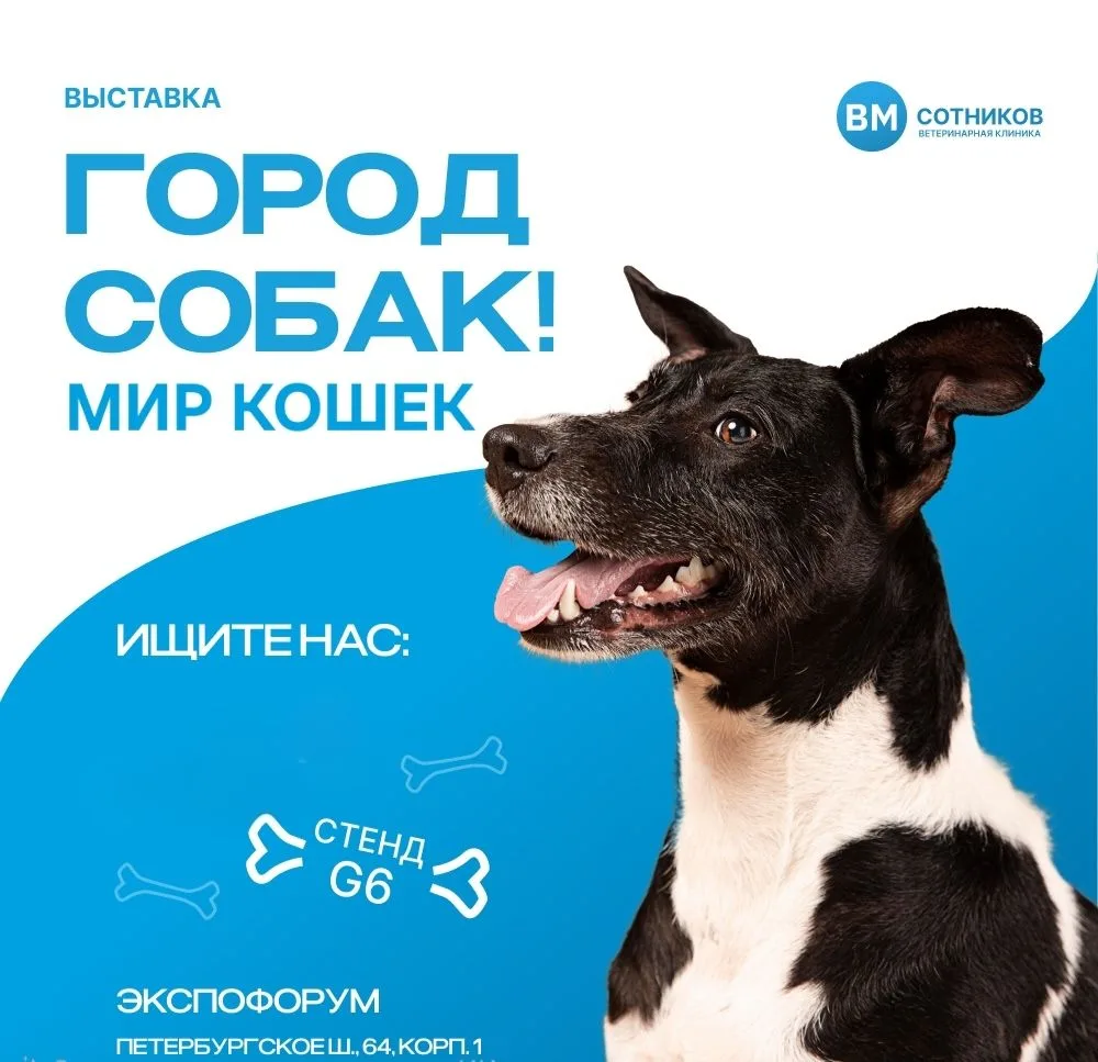 Встречаемся в «Экспофоруме»!