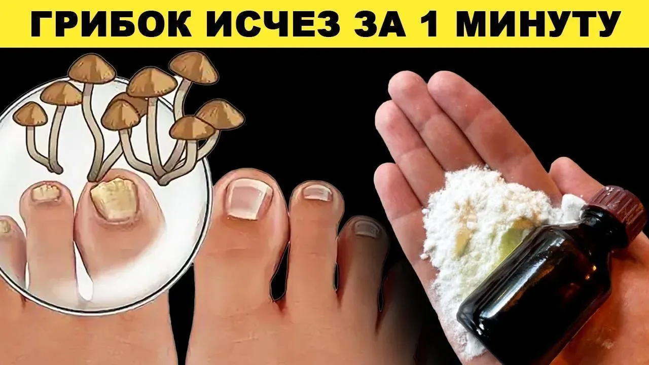Вам пришло уведомление❗️