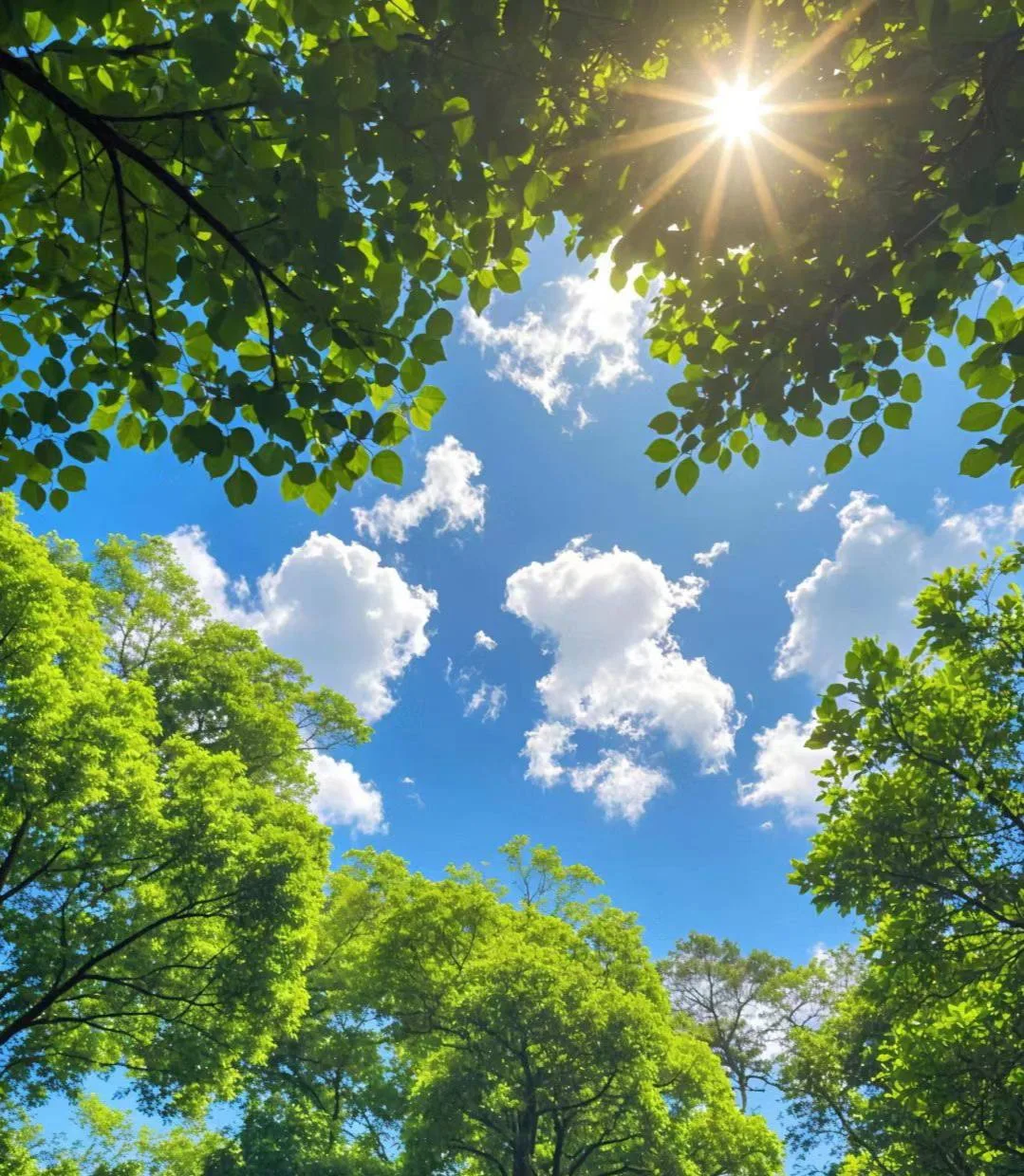 ☀️ МЧС продлили штормовое предупреждение до 17 июня