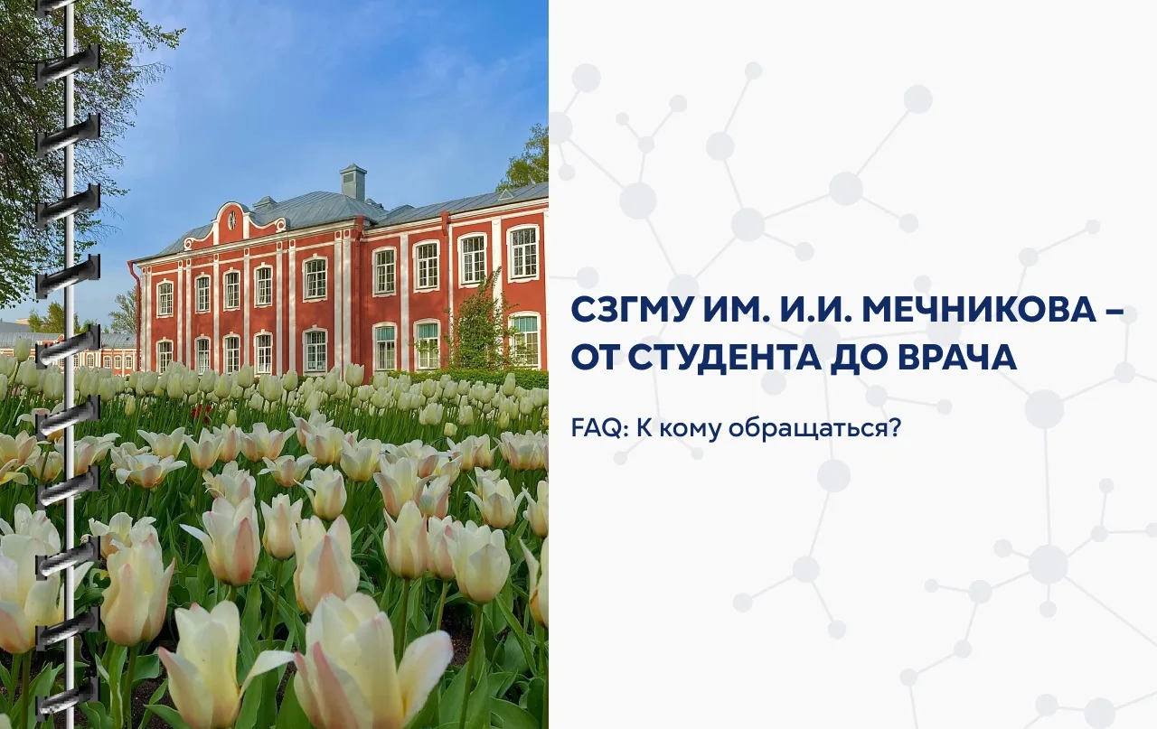 ⚡️От студента — до врача.
