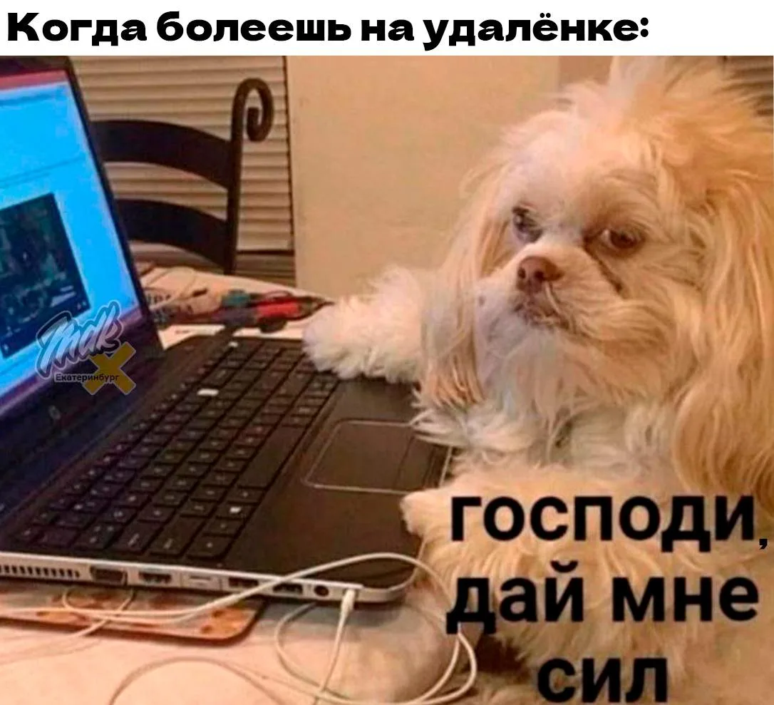 Удалёнщикам хотят дать такие же права, как офисным сотрудникам

Речь идёт об отпускных, больничных и