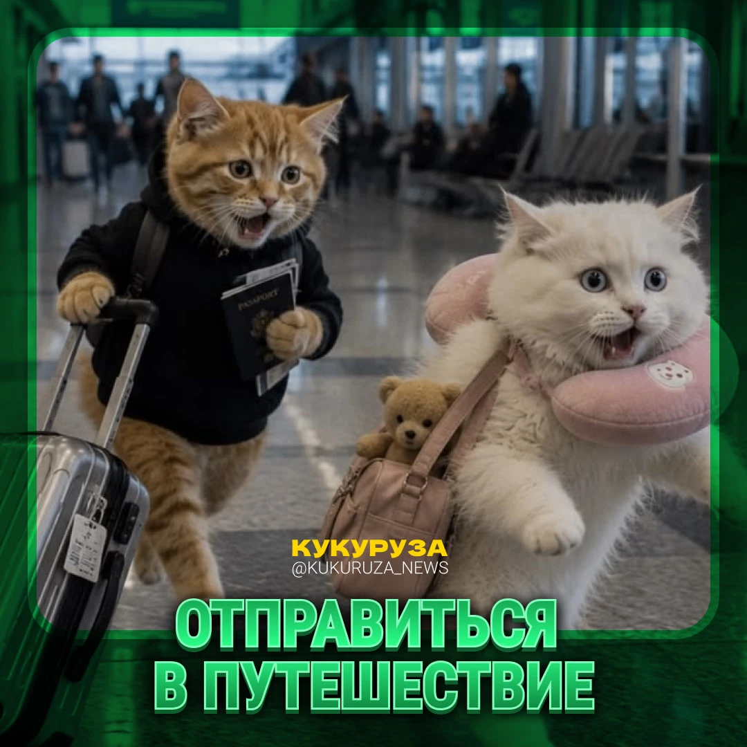 На носу долгожданные выходные 🥹