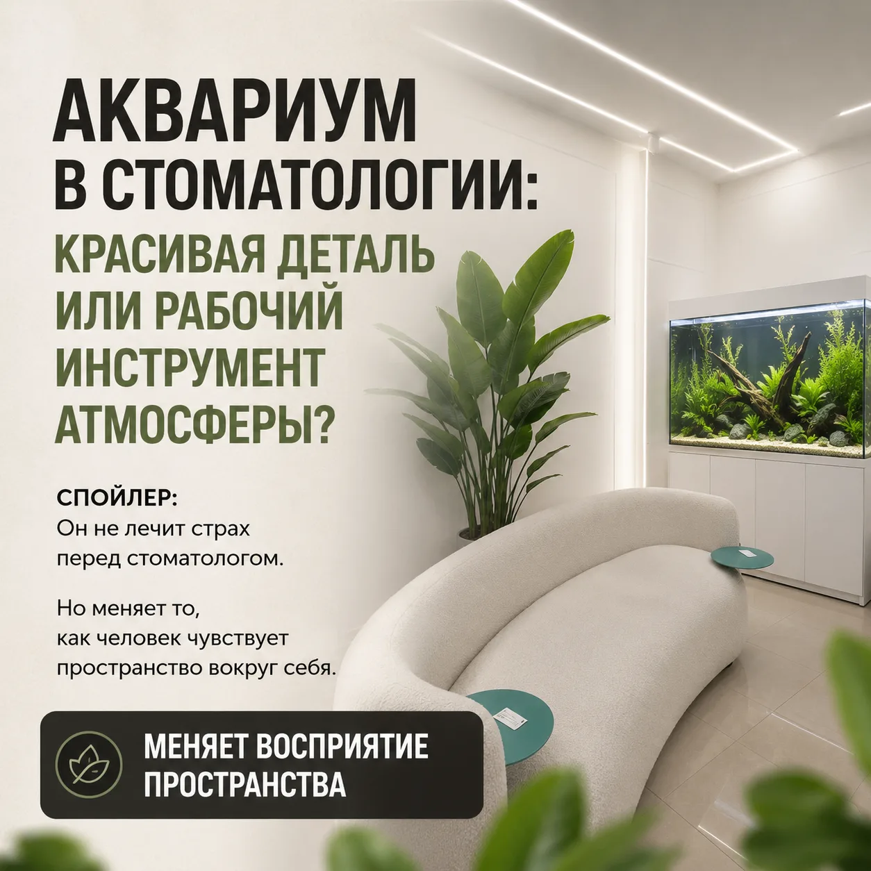 🐠 Аквариум в стоматологии — это маркетинг или польза?

Большинство уверены, что аквариумы ставят в 