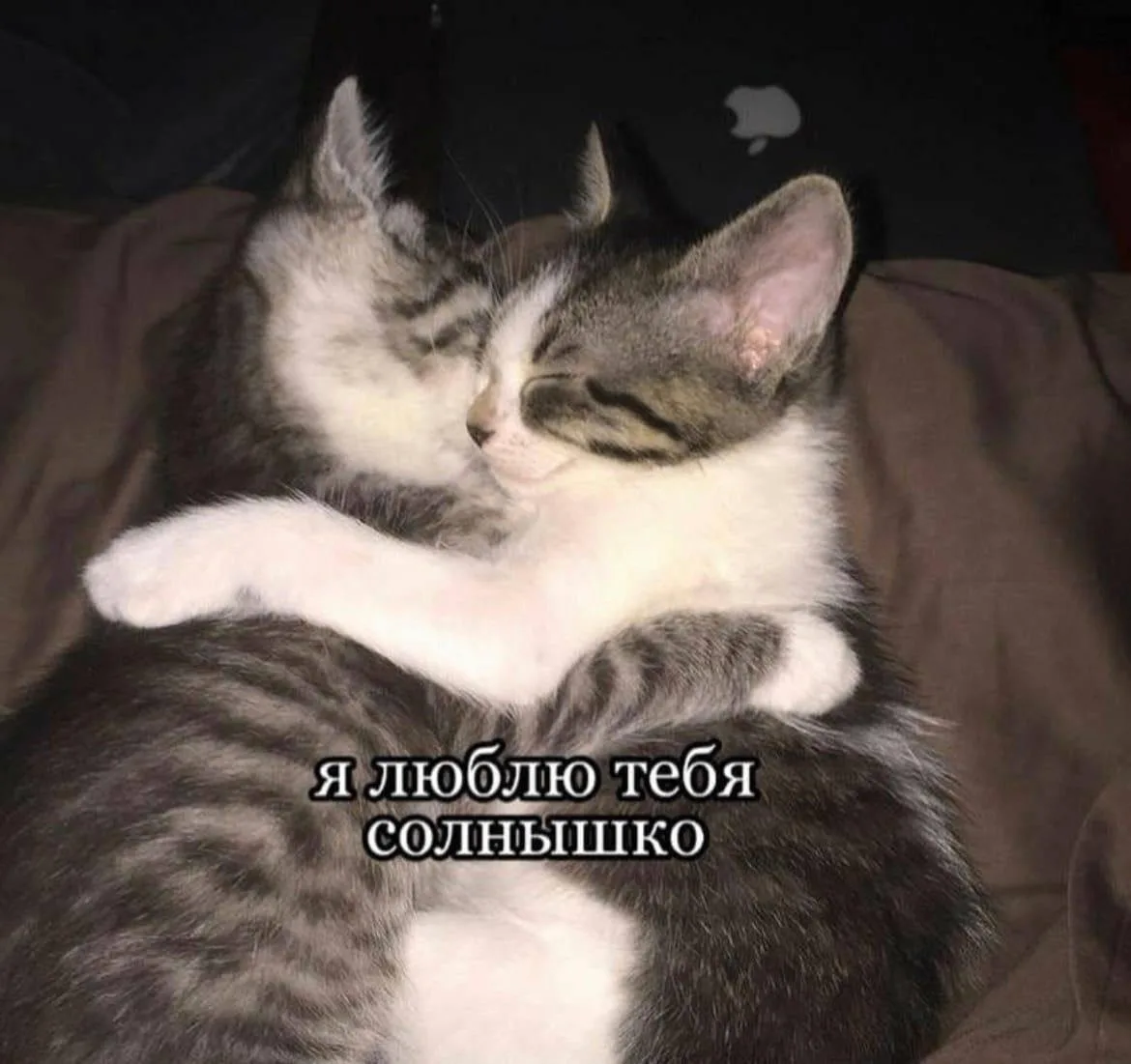 *ты знаешь, кому скинуть <3